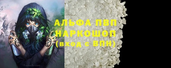 СК Арсеньев